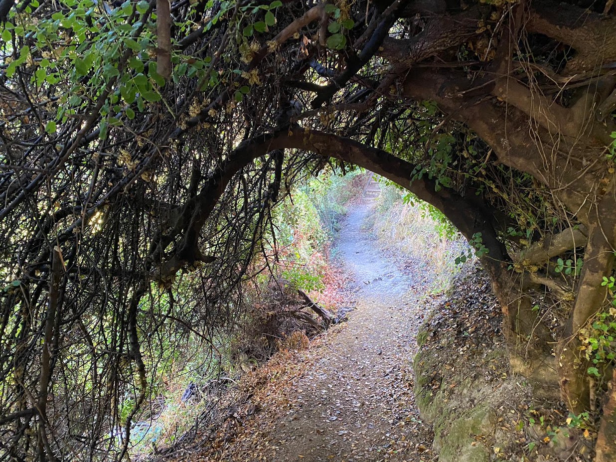 Path