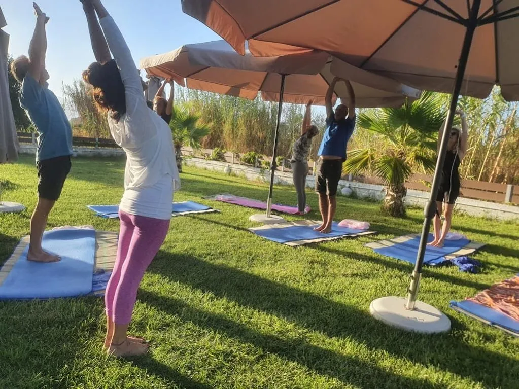 surya namaskar