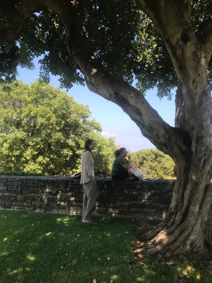 talking to trees