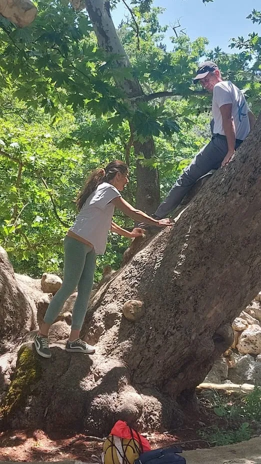 climbing