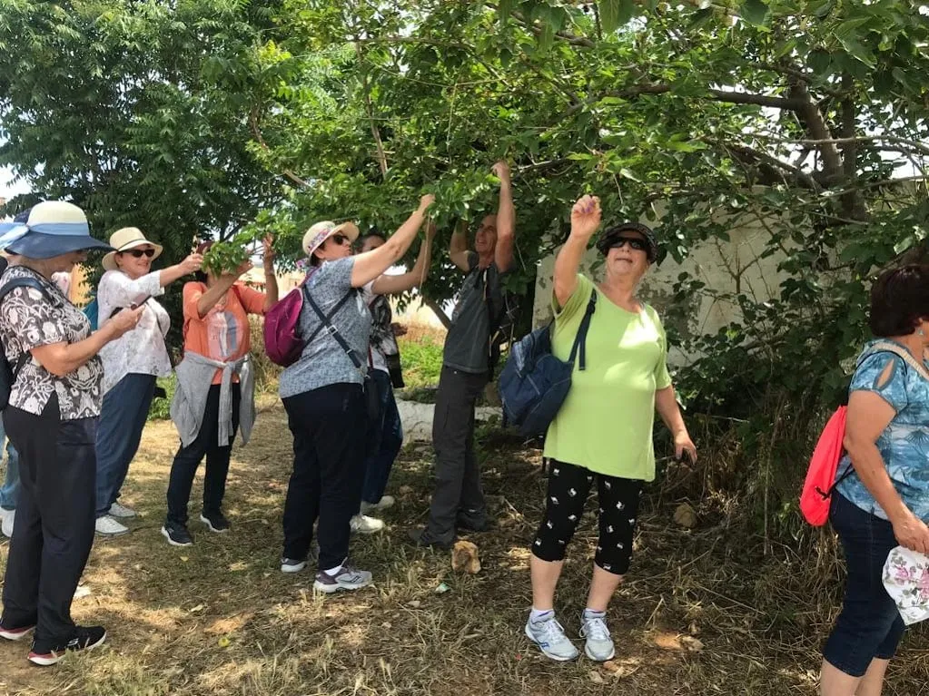picking from tree