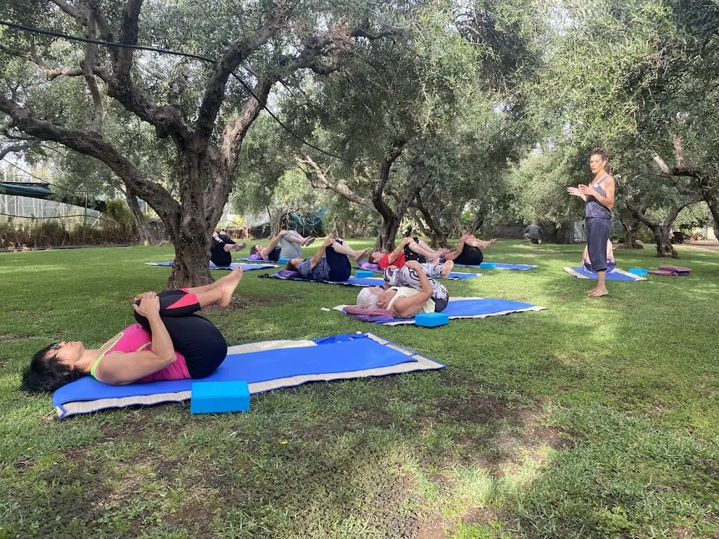 shiluvim on grass 17