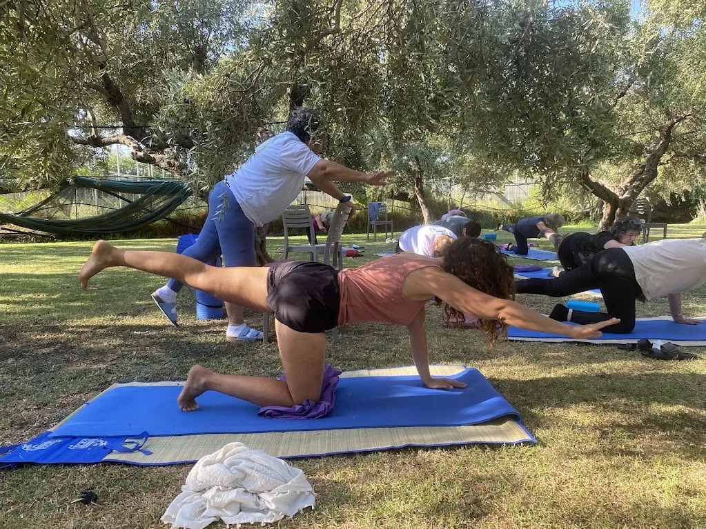 shiluvim on grass 18