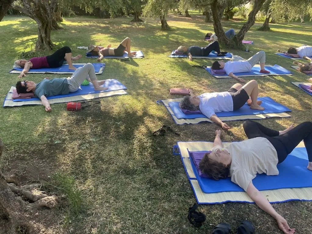 shiluvim on grass 26