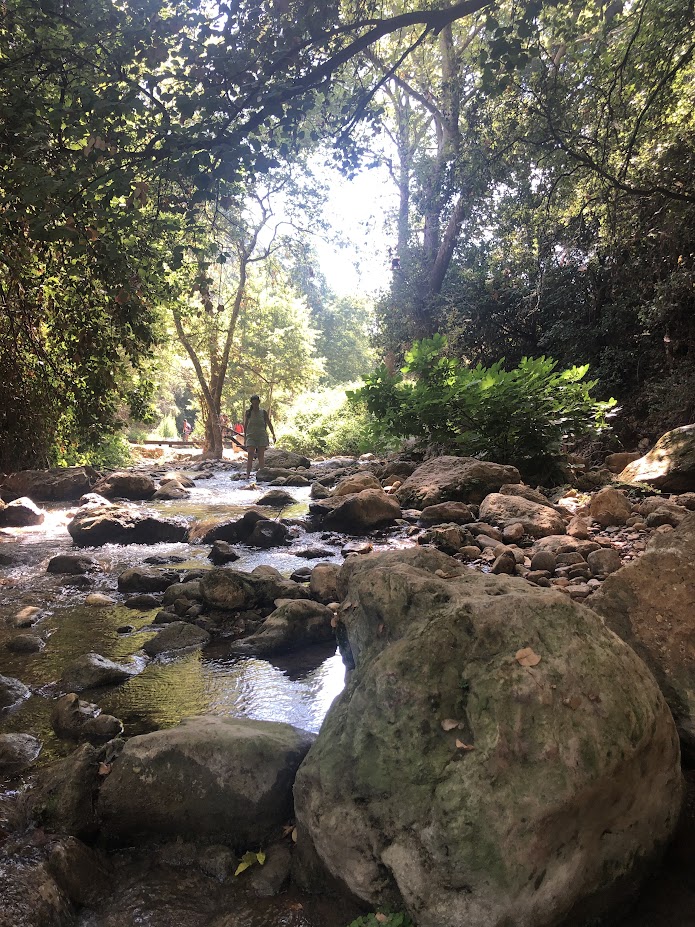 Gorge 2